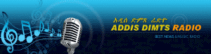 Addis Dimts Radio